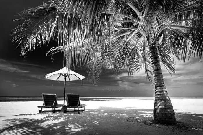 Framed Print : Dramatic landscape of paradise tropical island beach with perfect sunny sky, artistic black and white process