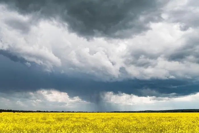 Framed Print : Dramatic storm clouds with rain over yellow rapeseed fields. Landscape photography Framed Print : Dramatic storm clouds with rain over yellow rapeseed fields. Landscape photography