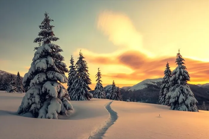 Framed Print : Dramatic wintry scene with snowy trees Framed Print : Dramatic wintry scene with snowy trees