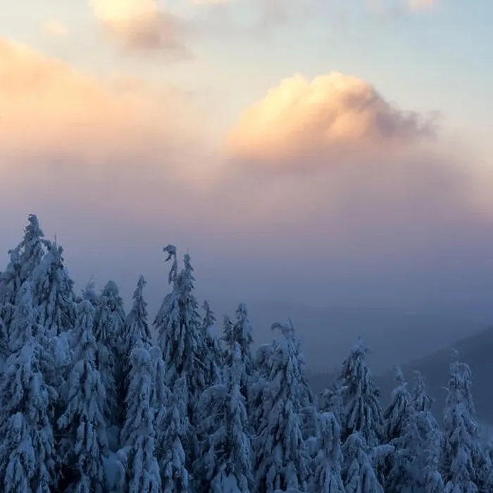 Framed Print : Dramatic wintry scene with snowy trees Framed Print : Dramatic wintry scene with snowy trees