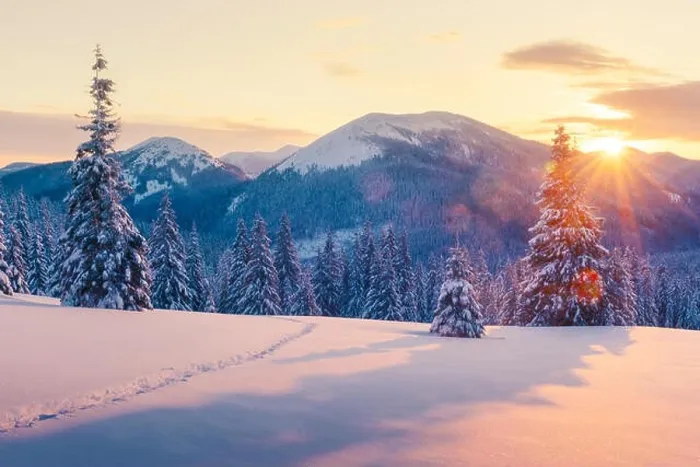 Framed Print : Dramatic wintry scene with snowy trees Framed Print : Dramatic wintry scene with snowy trees