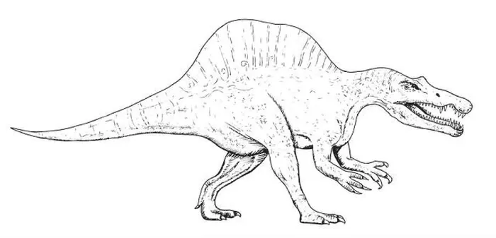 Framed Print : Drawing of dinosaur - hand sketch of spinosaurus, black and white illustration Framed Print : Drawing of dinosaur - hand sketch of spinosaurus, black and white illustration