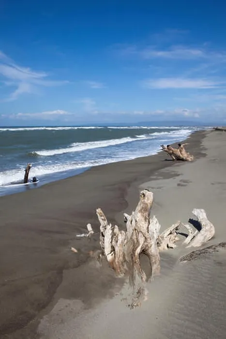 Framed Print : Driftwood on the beach of La Paz bei Laoag City Framed Print : Driftwood on the beach of La Paz bei Laoag City