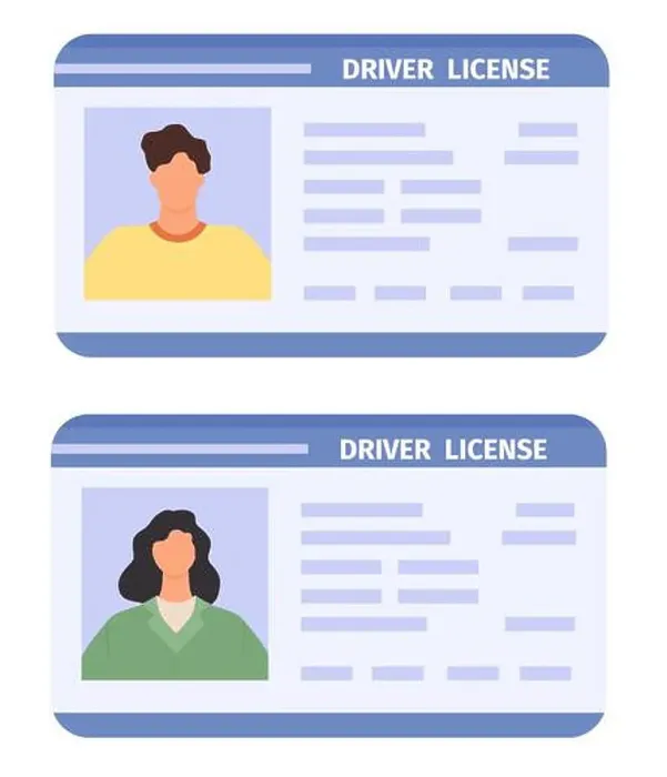 Framed Print : Drivers id card. Woman and man driving licences with photo Framed Print : Drivers id card. Woman and man driving licences with photo