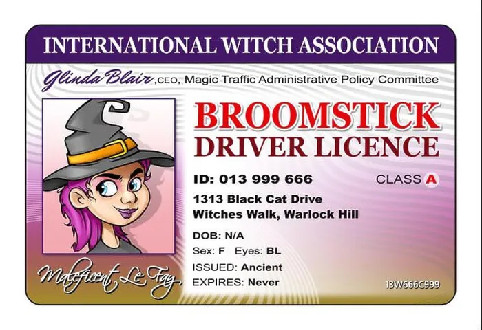 Framed Print : Driver's license for witches, license to ride a broomstick Framed Print : Driver's license for witches, license to ride a broomstick