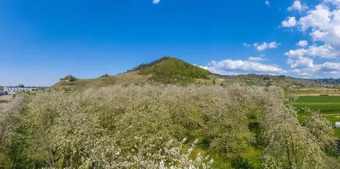 Framed Print : Drone aerial view, Ortenberg Castle in spring, Ortenberg, Black Forest, Baden-Wurttemberg, Germany, Europe Framed Print : Drone aerial view, Ortenberg Castle in spring, Ortenberg, Black Forest, Baden-Wurttemberg, Germany, Europe