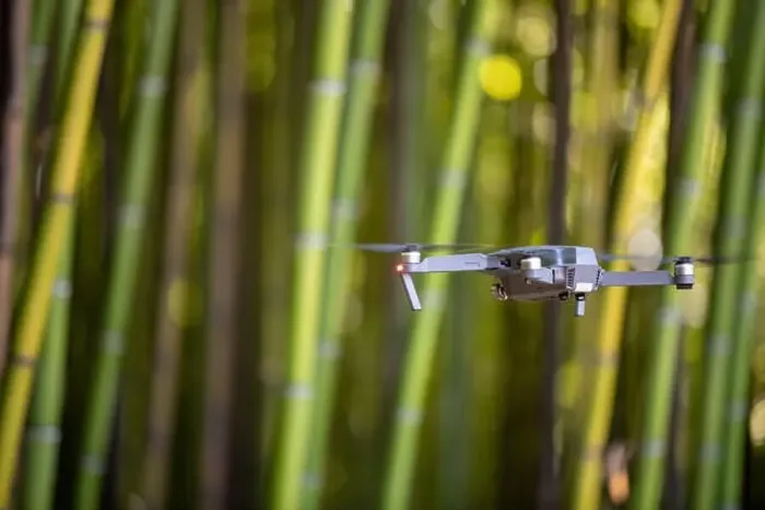 Framed Print : Drone in Bamboo plantation, Green bamboo fence texture background, bamboo texture Framed Print : Drone in Bamboo plantation, Green bamboo fence texture background, bamboo texture