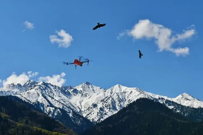 Framed Print : Drone and eagles in the sky over the mountains Framed Print : Drone and eagles in the sky over the mountains