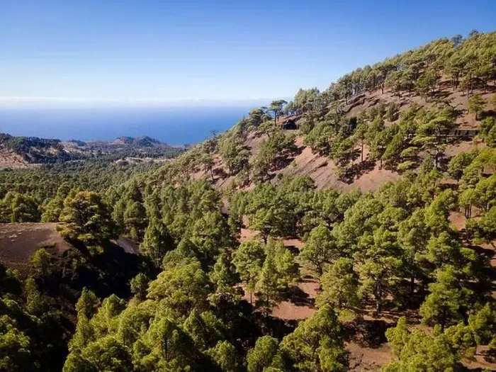 Framed Print : Drone flight over the beautiful lush green pine forest on El Hierro, el pinar Framed Print : Drone flight over the beautiful lush green pine forest on El Hierro, el pinar