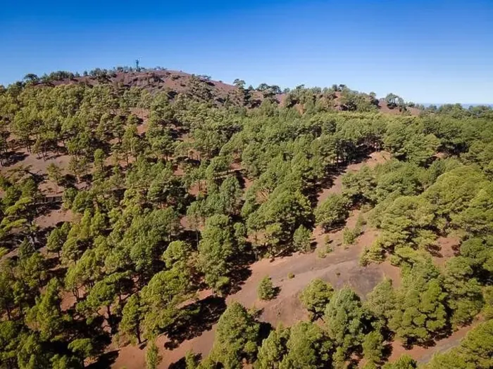 Framed Print : Drone flight over the beautiful lush green pine forest on El Hierro, el pinar Framed Print : Drone flight over the beautiful lush green pine forest on El Hierro, el pinar