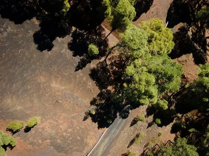 Framed Print : Drone flight over the beautiful lush green pine forest on El Hierro, el pinar Framed Print : Drone flight over the beautiful lush green pine forest on El Hierro, el pinar