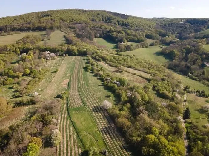 Framed Print : Drone flight over green meadows, forests, landscape, nature in April in Austria Framed Print : Drone flight over green meadows, forests, landscape, nature in April in Austria