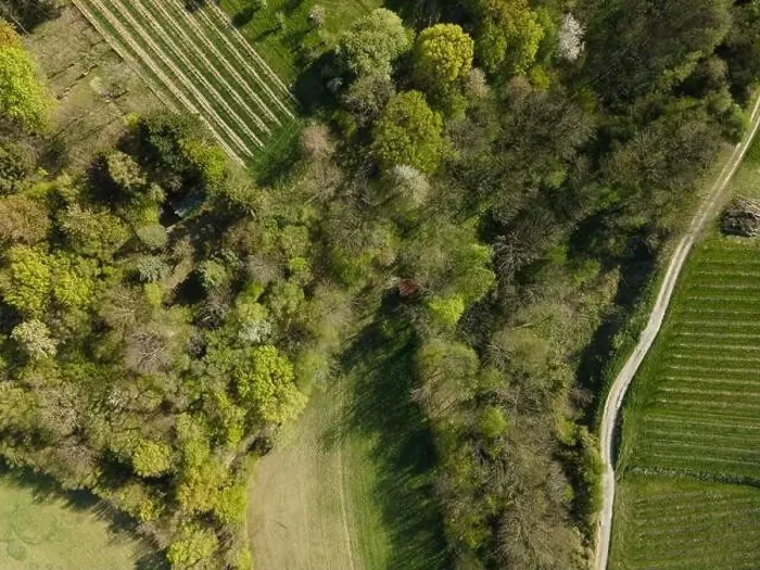 Framed Print : Drone flight over green meadows, forests, landscape, nature in April in Austria Framed Print : Drone flight over green meadows, forests, landscape, nature in April in Austria