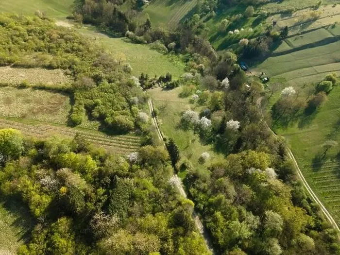 Framed Print : Drone flight over green meadows, forests, landscape, nature in April in Austria Framed Print : Drone flight over green meadows, forests, landscape, nature in April in Austria