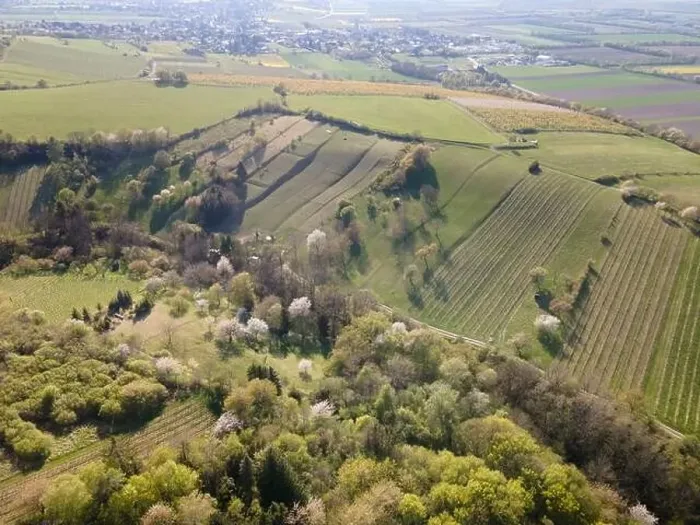 Framed Print : Drone flight over green meadows, forests, landscape, nature in April in Austria Framed Print : Drone flight over green meadows, forests, landscape, nature in April in Austria
