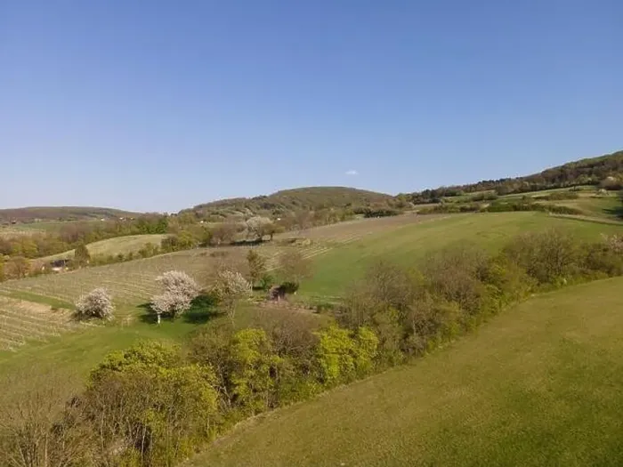 Framed Print : Drone flight over green meadows, forests, landscape, nature in April in Austria Framed Print : Drone flight over green meadows, forests, landscape, nature in April in Austria