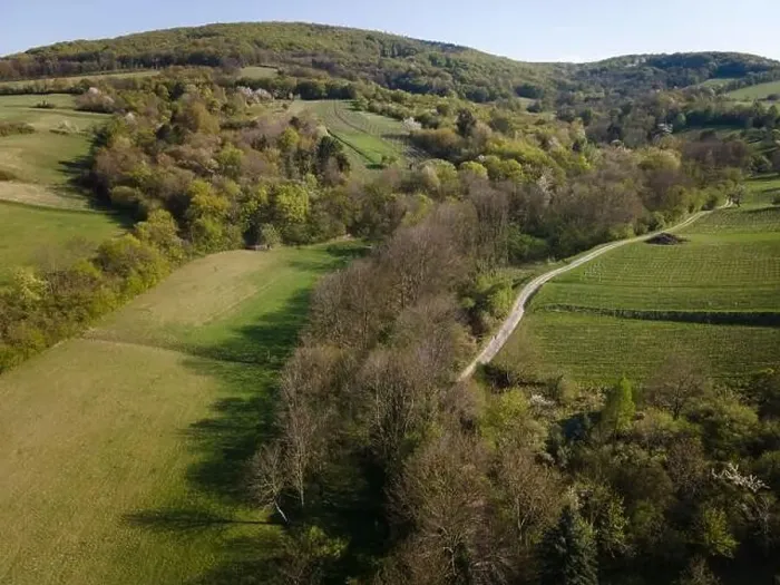 Framed Print : Drone flight over green meadows, forests, landscape, nature in April in Austria Framed Print : Drone flight over green meadows, forests, landscape, nature in April in Austria