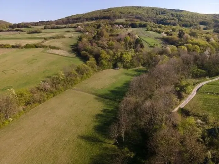 Framed Print : Drone flight over green meadows, forests, landscape, nature in April in Austria Framed Print : Drone flight over green meadows, forests, landscape, nature in April in Austria