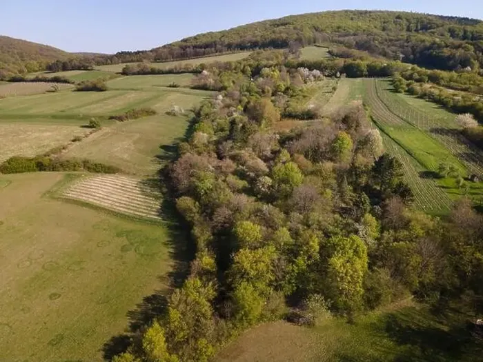 Framed Print : Drone flight over green meadows, forests, landscape, nature in April in Austria Framed Print : Drone flight over green meadows, forests, landscape, nature in April in Austria