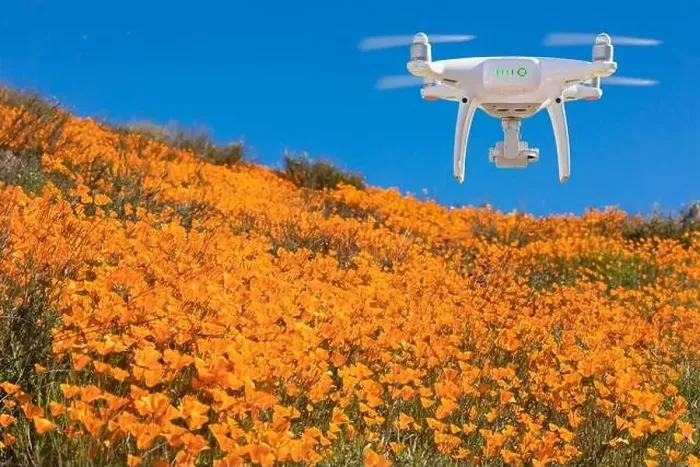 Framed Print : Drone Flying Above California Poppies Landscape During the 2019 Super Bloom Framed Print : Drone Flying Above California Poppies Landscape During the 2019 Super Bloom
