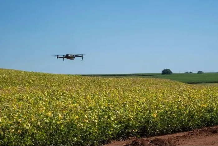 Framed Print : drone flying over soy plantation on sunny day in Brazil Framed Print : drone flying over soy plantation on sunny day in Brazil