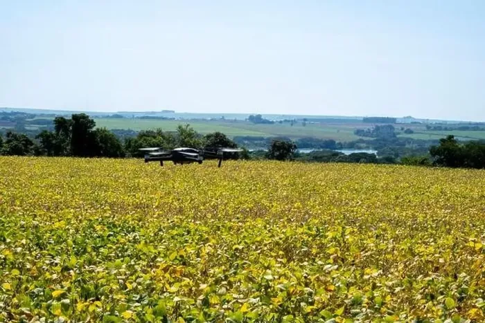 Framed Print : drone flying over soy plantation on sunny day in Brazil Framed Print : drone flying over soy plantation on sunny day in Brazil