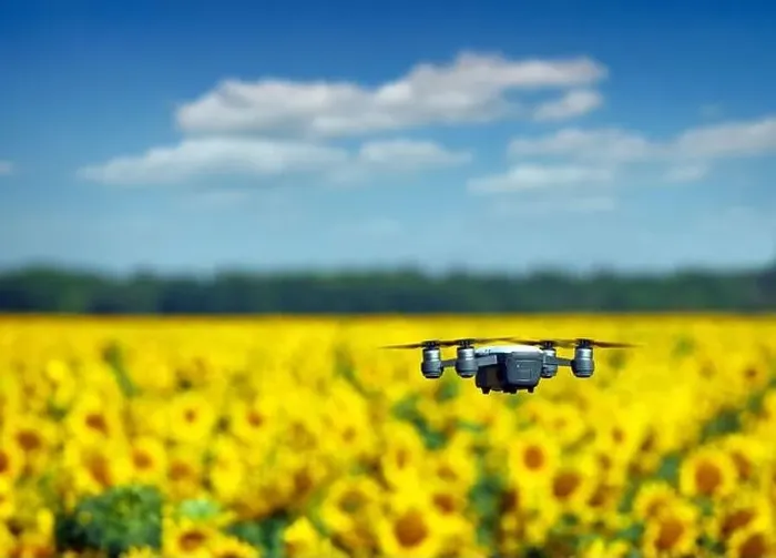Framed Print : The drone is flying over the sunflower field summertime