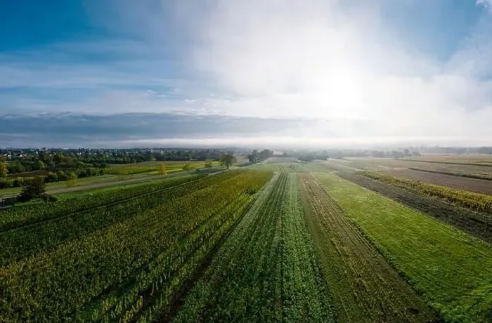 Framed Print : A drone panoramic view of the stunning expanse of the Vosges foothills. Autumn vineyards in the morning fog. France Framed Print : A drone panoramic view of the stunning expanse of the Vosges foothills. Autumn vineyards in the morning fog. France