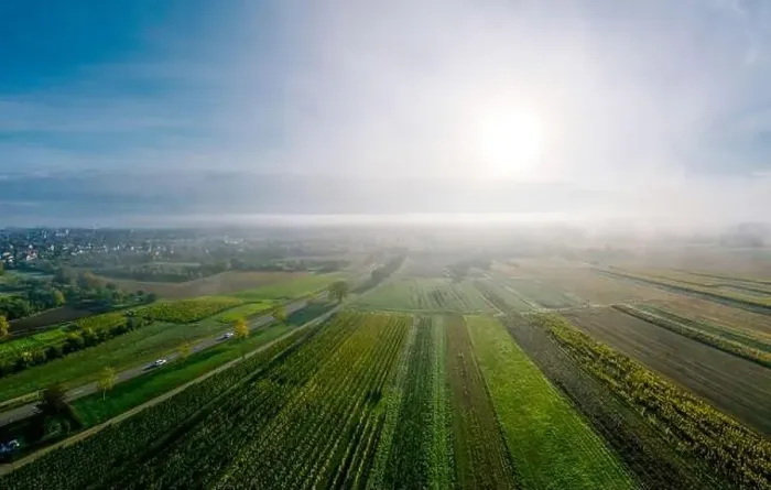 Framed Print : A drone panoramic view of the stunning expanse of the Vosges foothills. Autumn vineyards in the morning fog. France Framed Print : A drone panoramic view of the stunning expanse of the Vosges foothills. Autumn vineyards in the morning fog. France