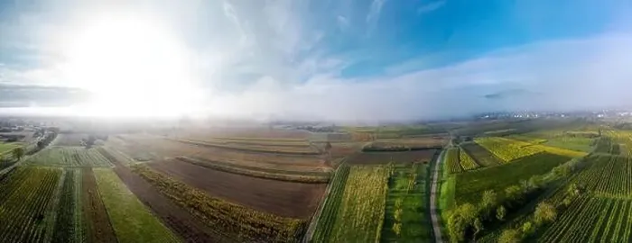 Framed Print : A drone panoramic view of the stunning expanse of the Vosges foothills. Autumn vineyards in the morning fog. France Framed Print : A drone panoramic view of the stunning expanse of the Vosges foothills. Autumn vineyards in the morning fog. France