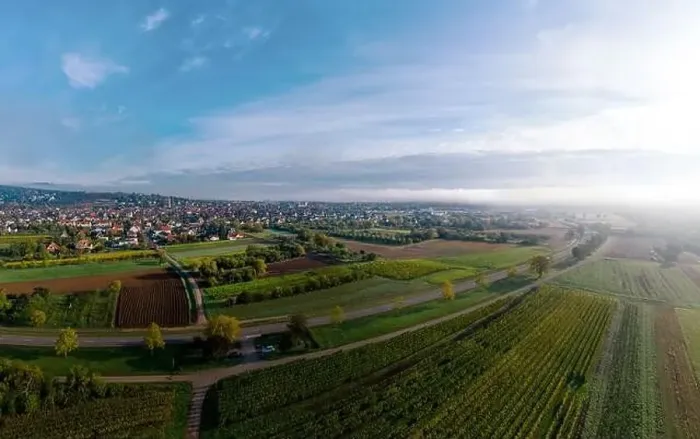 Framed Print : A drone panoramic view of the stunning expanse of the Vosges foothills. Autumn vineyards in the morning fog. France Framed Print : A drone panoramic view of the stunning expanse of the Vosges foothills. Autumn vineyards in the morning fog. France