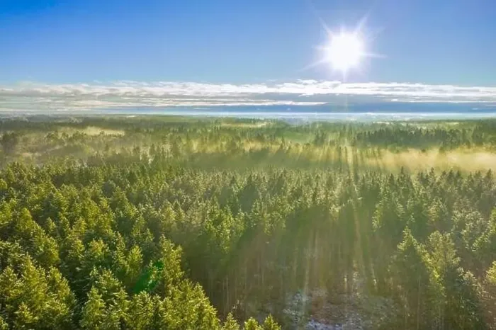 Framed Print : Drone photo of foggy sunrise over forest, golden sun light with beams and shadows Framed Print : Drone photo of foggy sunrise over forest, golden sun light with beams and shadows