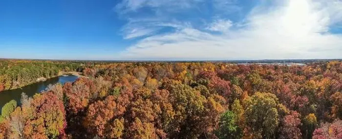 Framed Print : Drone Photos of Durant Nature Preserve, Raleigh NC Framed Print : Drone Photos of Durant Nature Preserve, Raleigh NC