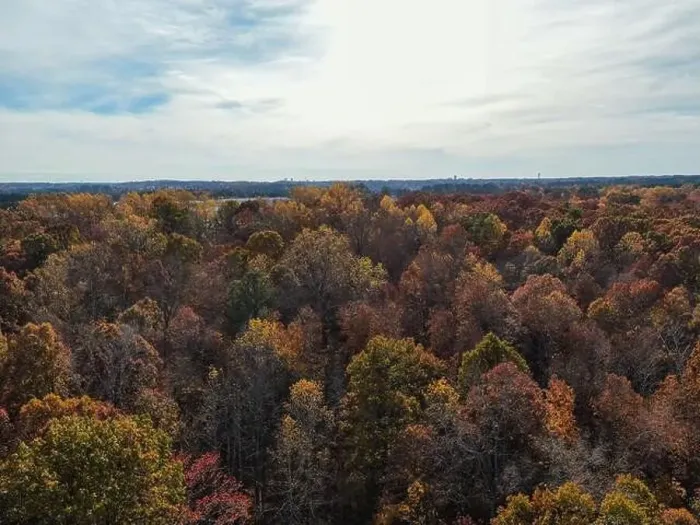 Framed Print : Drone Photos of Durant Nature Preserve, Raleigh NC Framed Print : Drone Photos of Durant Nature Preserve, Raleigh NC
