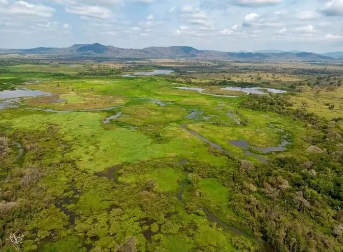 Framed Print : Drone shot of the bright green flooded grasslands of the Pantanal in Brasil Framed Print : Drone shot of the bright green flooded grasslands of the Pantanal in Brasil