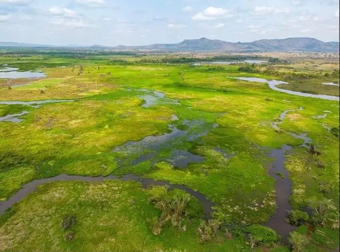 Framed Print : Drone shot of the bright green flooded grasslands of the Pantanal in Brasil Framed Print : Drone shot of the bright green flooded grasslands of the Pantanal in Brasil