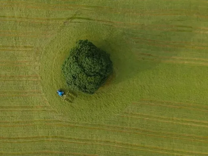 Framed Print : A drone shot of a tractor turning grass in a meadow near the Yorkshire Dales village of Malham, North Yorkshire Framed Print : A drone shot of a tractor turning grass in a meadow near the Yorkshire Dales village of Malham, North Yorkshire