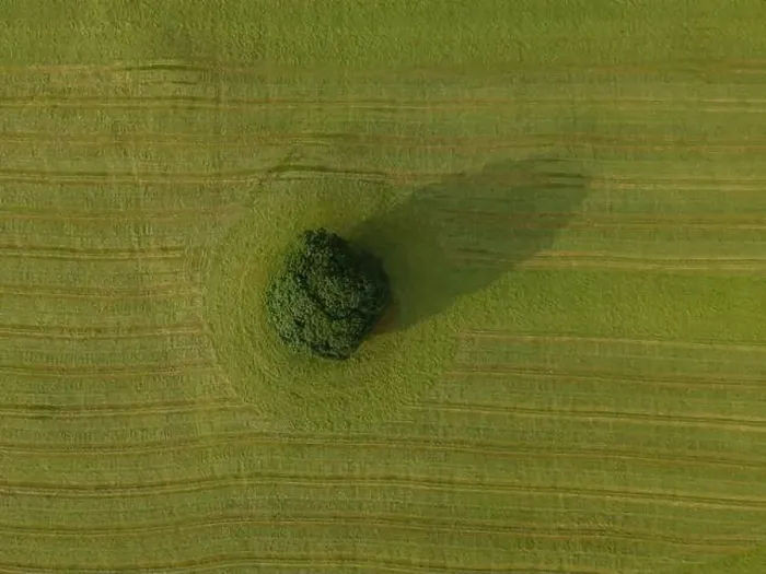 Framed Print : A drone shot of a tractor turning grass in a meadow near the Yorkshire Dales village of Malham, North Yorkshire