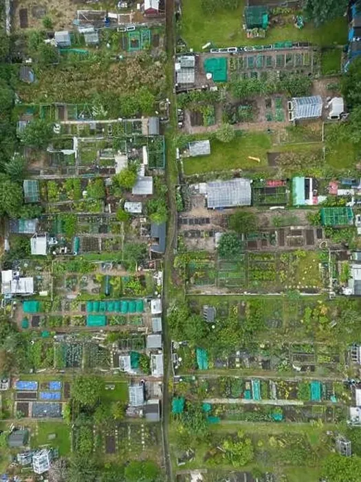 Framed Print : A drone shot of various plots in an allotment, Micklethwaite, west yorkshire Framed Print : A drone shot of various plots in an allotment, Micklethwaite, west yorkshire