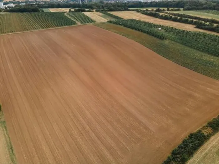 Framed Print : Drone view down on agriculture crop land with wheat fields and Vineyards Framed Print : Drone view down on agriculture crop land with wheat fields and Vineyards