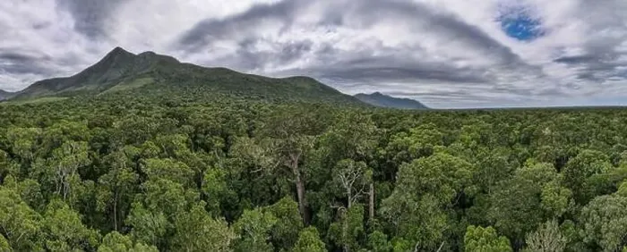 Framed Print : Drone view at the Big Tree of Tsitsikamma National Park on South Africa Framed Print : Drone view at the Big Tree of Tsitsikamma National Park on South Africa