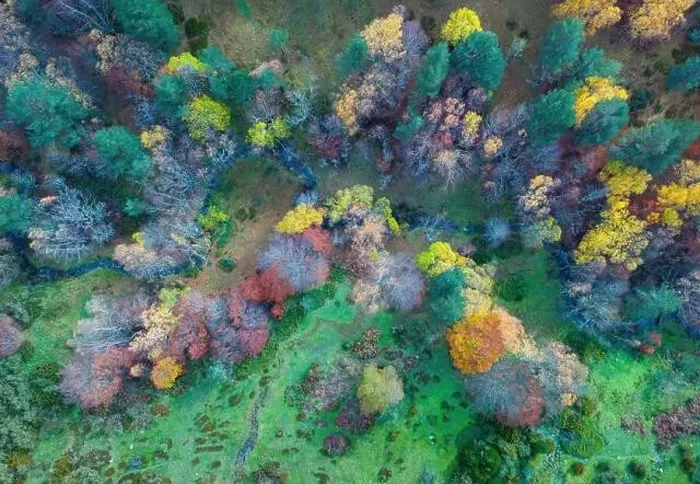 Framed Print : From above drone view of bright multicolored trees growing in autumn forest near blue river on daytime Framed Print : From above drone view of bright multicolored trees growing in autumn forest near blue river on daytime