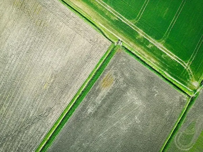 Framed Print : Drone top down view of farm fields showing both fresh crops growing a muddy flood plains Framed Print : Drone top down view of farm fields showing both fresh crops growing a muddy flood plains