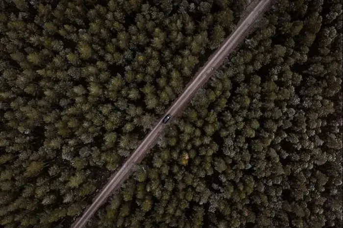 Framed Print : Drone view of lonely car driving along road in coniferous woods in winter in Scottish Highlands Framed Print : Drone view of lonely car driving along road in coniferous woods in winter in Scottish Highlands