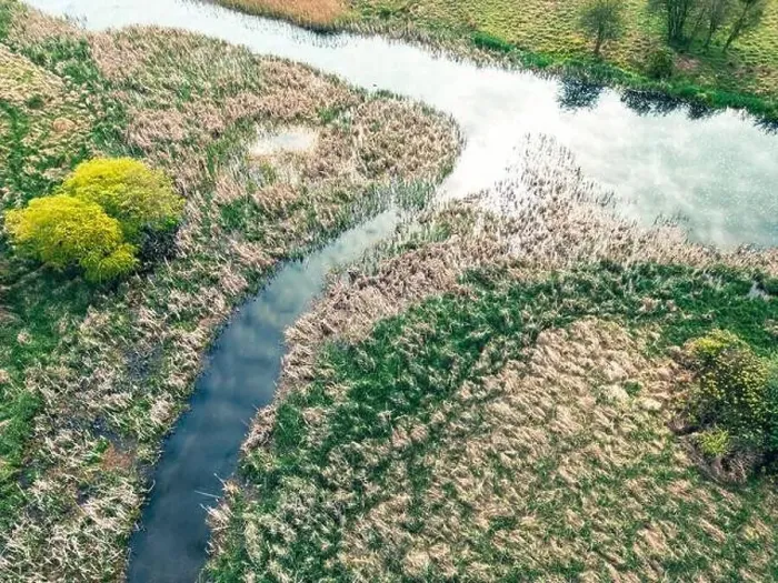 Framed Print : Drone view of marsh and a fresh inland water way famous for salmon Framed Print : Drone view of marsh and a fresh inland water way famous for salmon