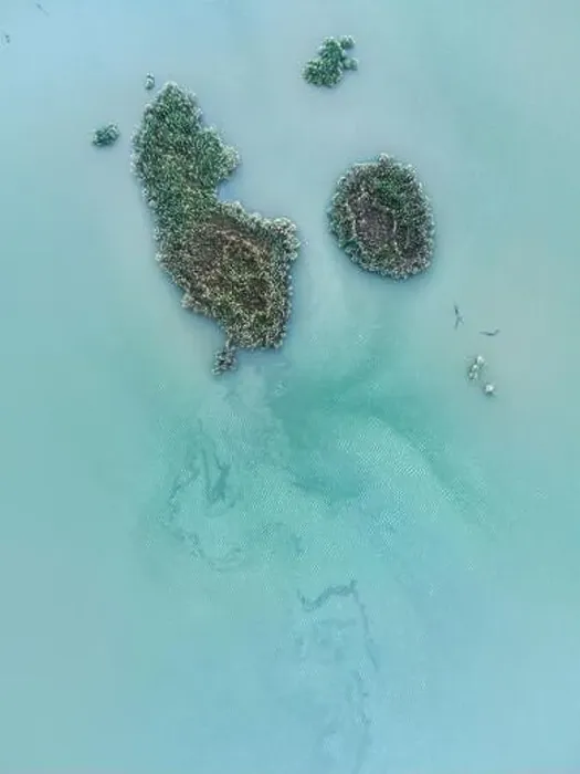 Framed Print : Drone view of overgrown with green tropical plants islands among turquoise ocean in Iceland Framed Print : Drone view of overgrown with green tropical plants islands among turquoise ocean in Iceland