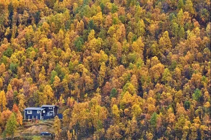 Framed Print : Drone view of picturesque landscape with lonely house located in autumn forest on hill in Northern Norway Framed Print : Drone view of picturesque landscape with lonely house located in autumn forest on hill in Northern Norway
