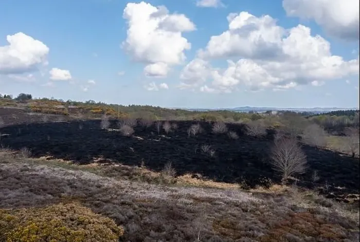 Framed Print : Drone view of recent arson attack at Waldridge Fell Framed Print : Drone view of recent arson attack at Waldridge Fell