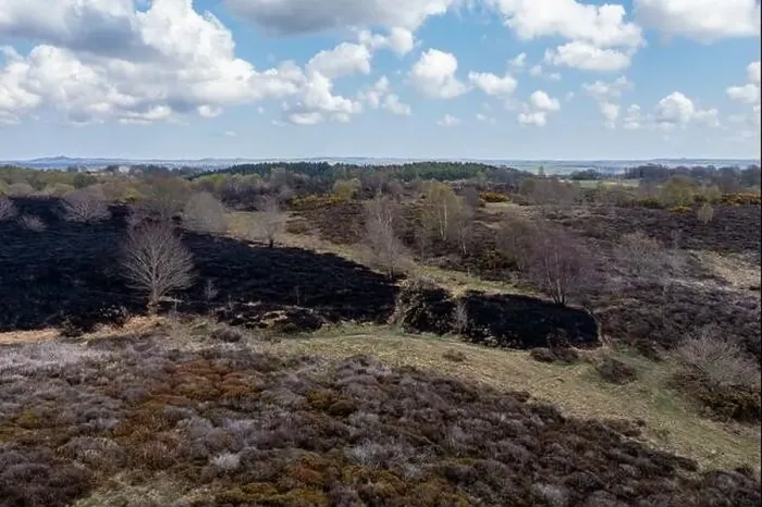 Framed Print : Drone view of recent arson attack at Waldridge Fell Framed Print : Drone view of recent arson attack at Waldridge Fell