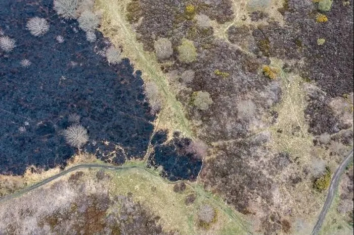 Framed Print : Drone view of recent arson attack at Waldridge Fell Framed Print : Drone view of recent arson attack at Waldridge Fell